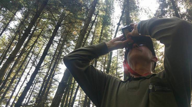 "Basozainak desagertzeko arriskuan daude Araban"