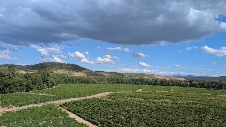 Trantsizioko bi egun