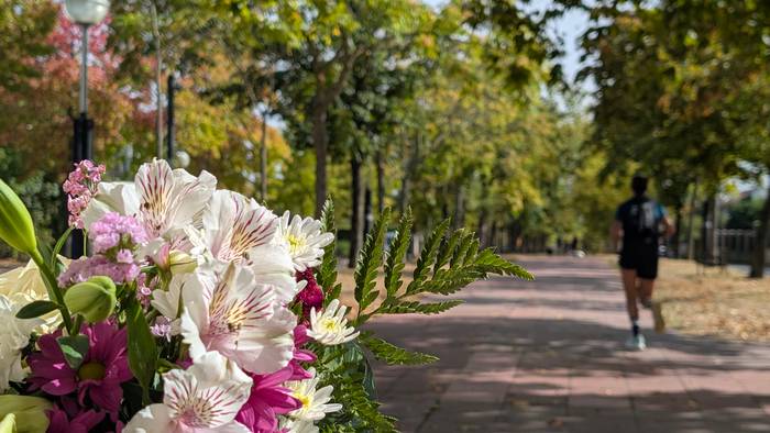 Bi egunez, eguzkitsu