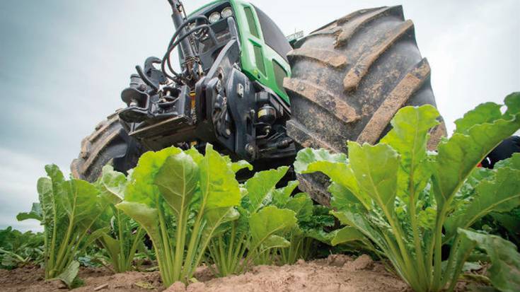 Erremolatxaren landaketa, airean