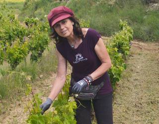 "Txingorrak kalte handiak eragin dizkigu mahastietan"