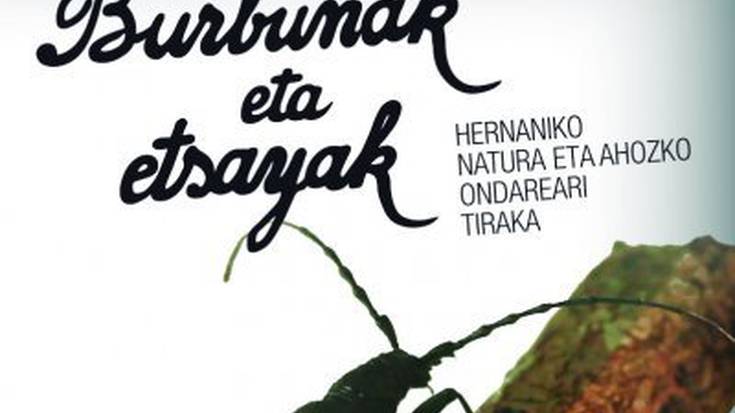 'Burbunak eta etsayak'