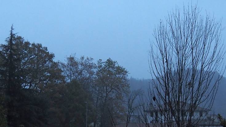 Artilezko jertsea janzteko eguna