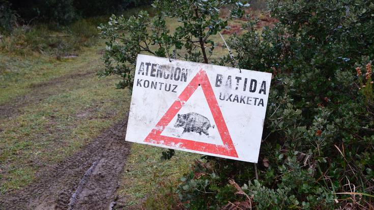 Diputazioko Mendi Zerbitzuko burua epaituko dute