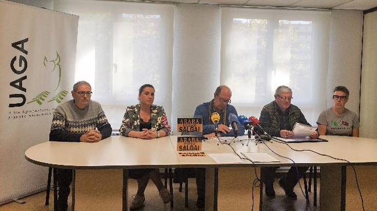 Solariarekin zuen kontratua apurtu du Mendibilek