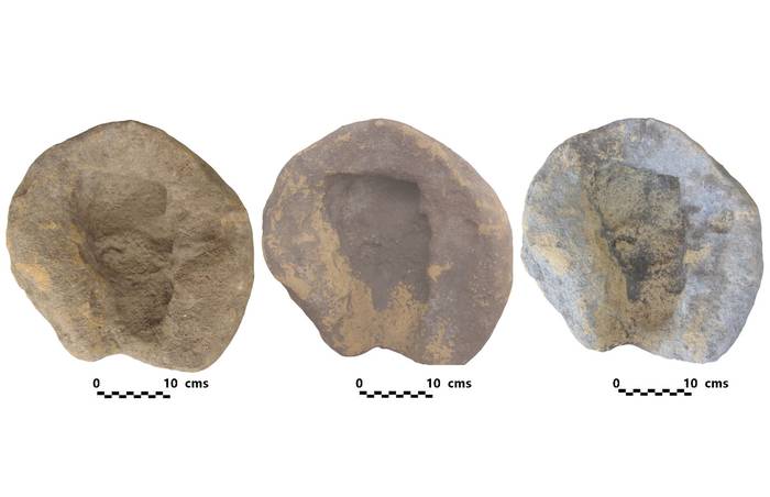 Europako motrailurik zaharrena aurkitu dute Trebiñun