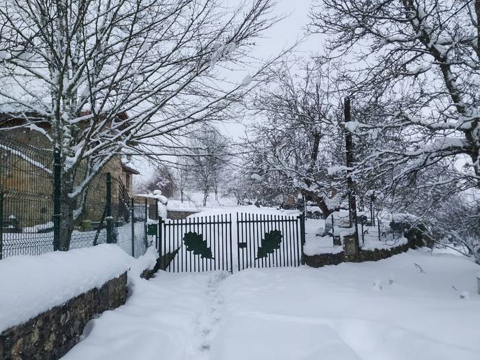 Nola egin aurre izotzari eta muturreko tenperatura baxuei?