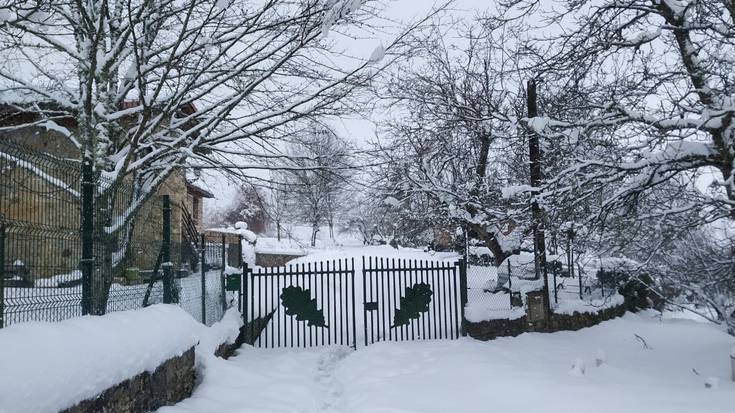 Nola egin aurre izotzari eta muturreko tenperatura baxuei?
