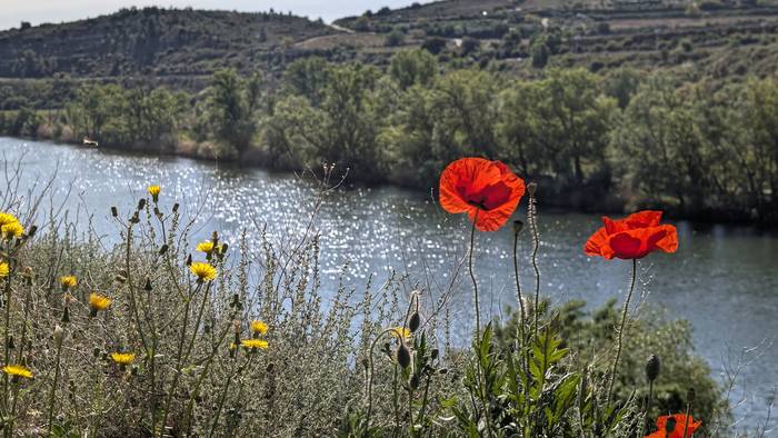Uda giroko egonkortzerantz