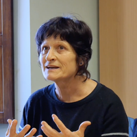 'Araba, lehen alaba' dokumentala