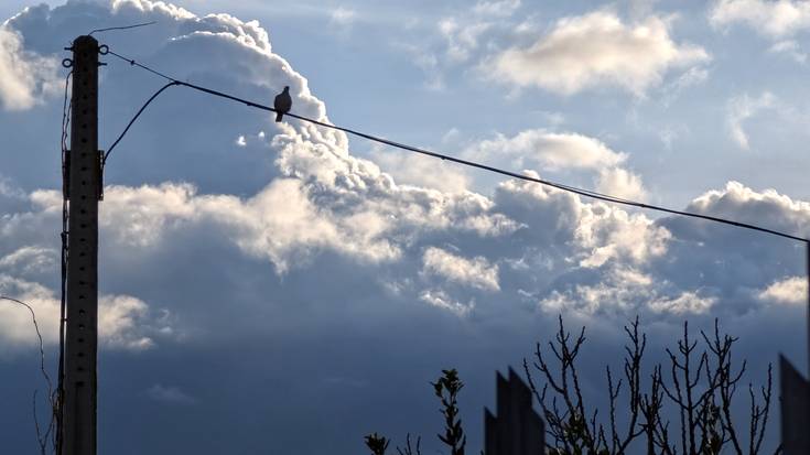 Are gehiago trinkotuko dira