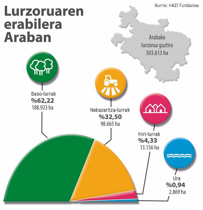 Lurzoruaren banaketa Araban. ARITZ MARTINEZ DE LUNA