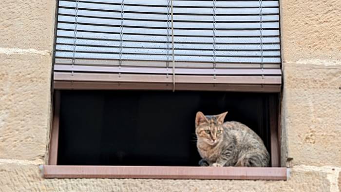 Eguzkia eta beroa asteburu gehienean