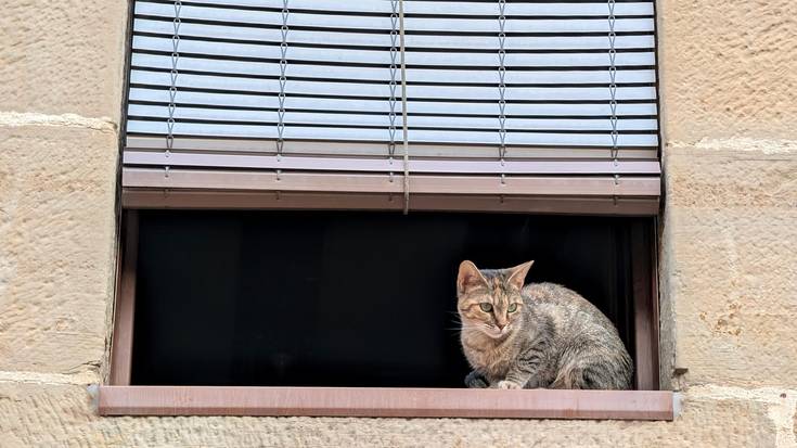 Eguzkia eta beroa asteburu gehienean