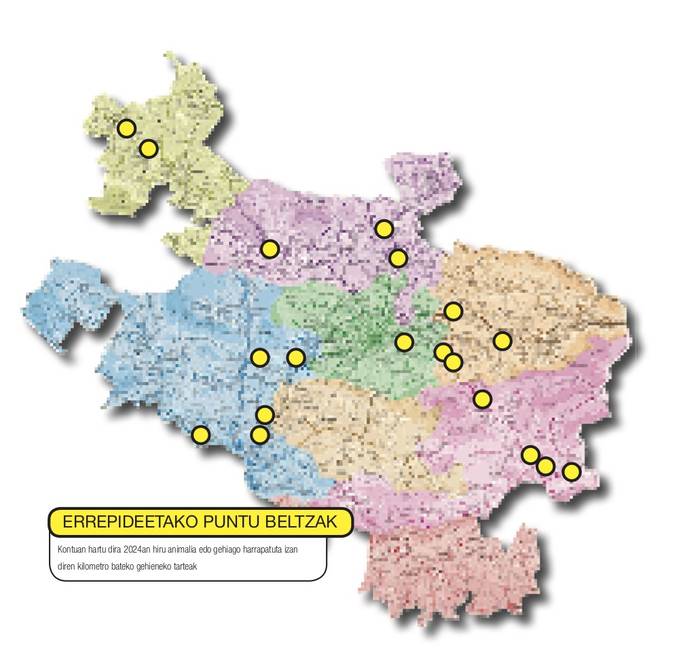 Errepideetako puntu beltzak. Argazkia: ARITZ MTZ. DE LUNA