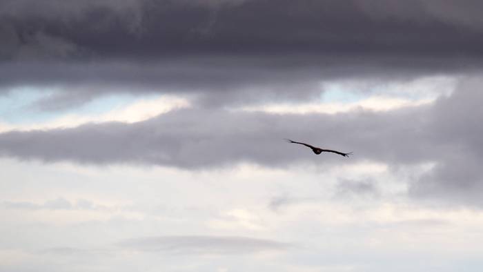 Eolori adi egon beharko zaio