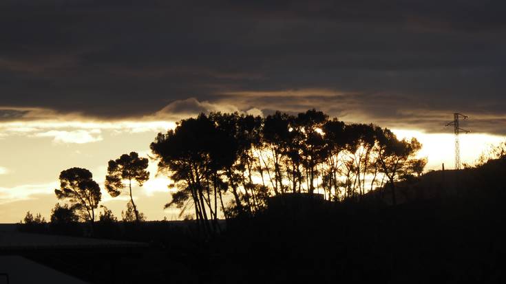 Griskara, baina epel