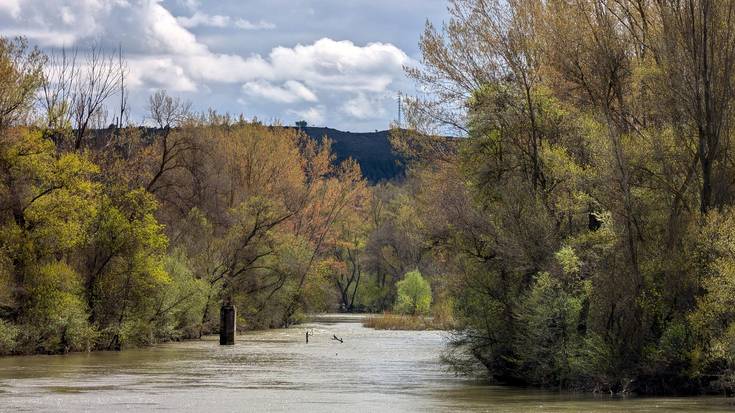Igandera itxaron beharko