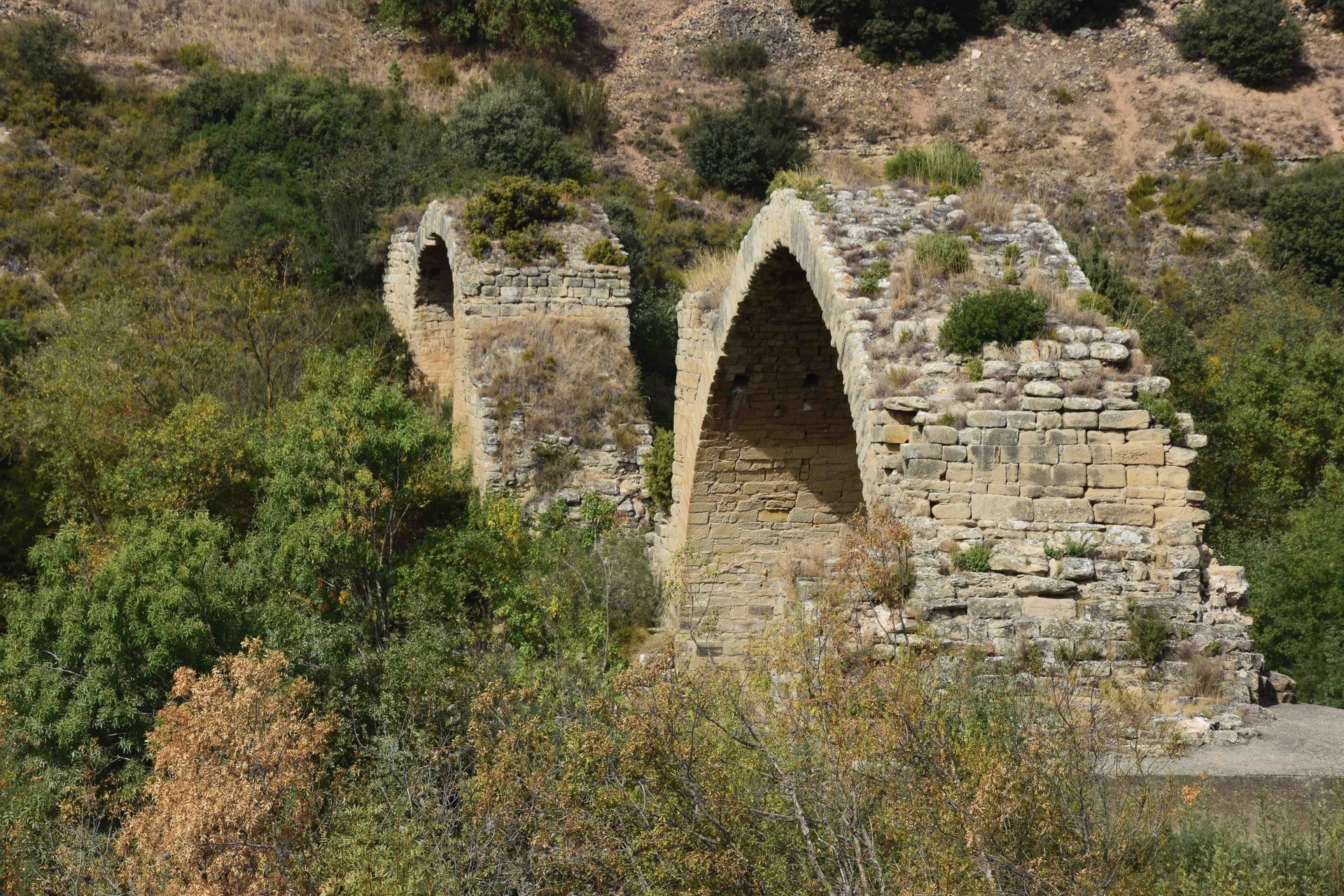 Mantible zubia, jausitako erraldoia