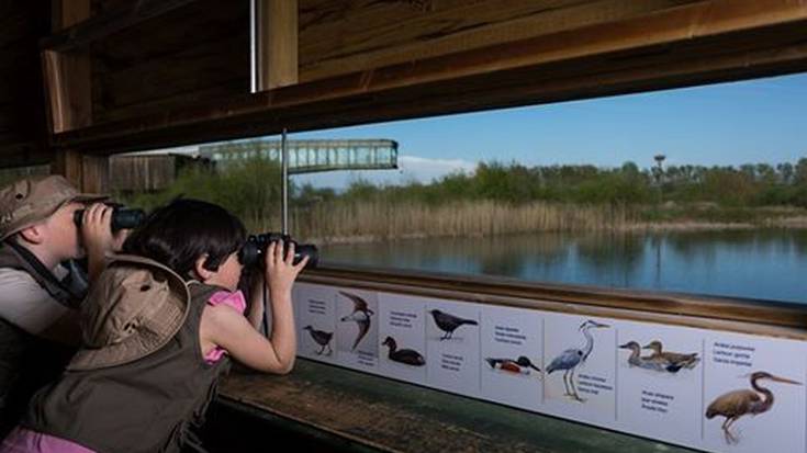 Natura eta ikus-entzunezkoak, asteburuko planen artean