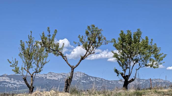 Momentuz, eusten dio