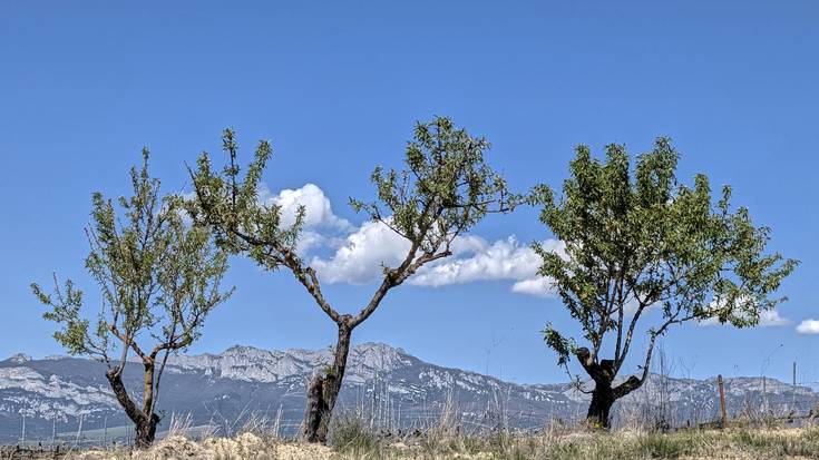 Momentuz, eusten dio