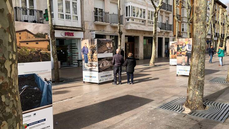 'Berdearaba' argazki-erakusketa zabalik da Independentzia kalean