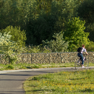 Bizikleta ibilbidea hezegunean