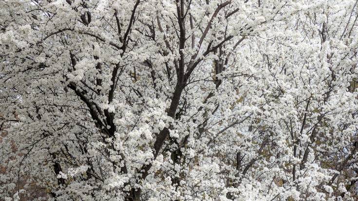 Argi, baina iluntzeko joeran