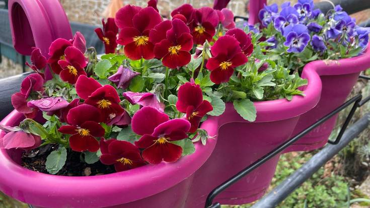 Loreen lehen jaialdia, maiatzaren 13tik 18ra bitarte