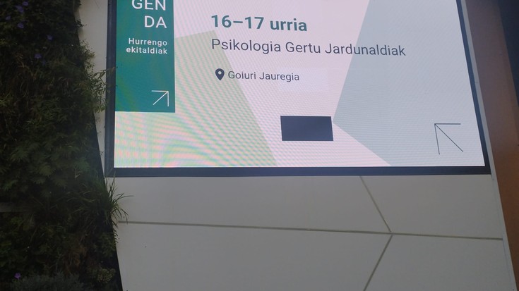 Europa Jauregiko iragarkiak, gaztelaniazko erara