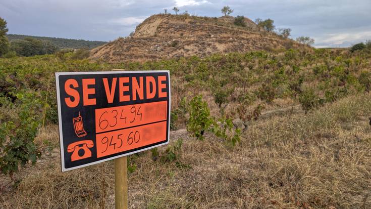 Mahastiak kentzeko aukera mahai gainean jarri du Lakuak