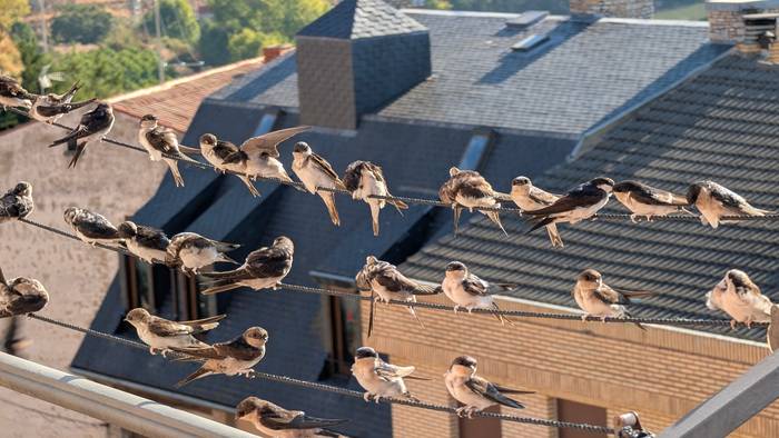 Larunbat goiza zerumugan