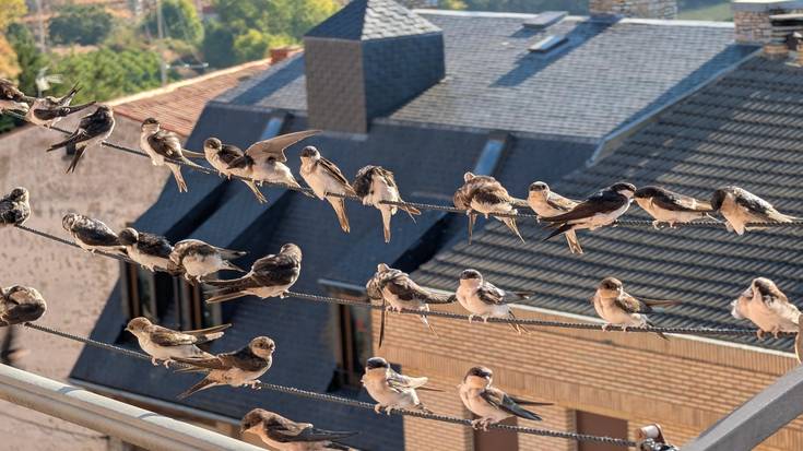 Larunbat goiza zerumugan