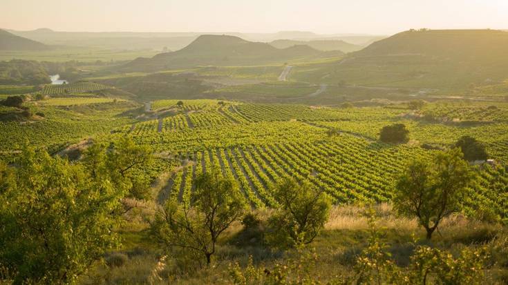 Arabako nekazaritzaren sektoreak sasoiko 500 langile behar ditu