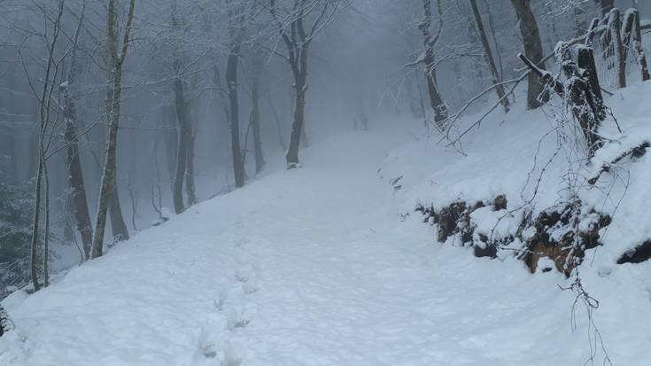 Abisu horia luzatu dute asteazkenera arte, elurragatik