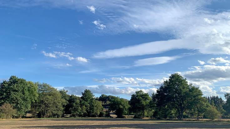 Garbitzera egingo du