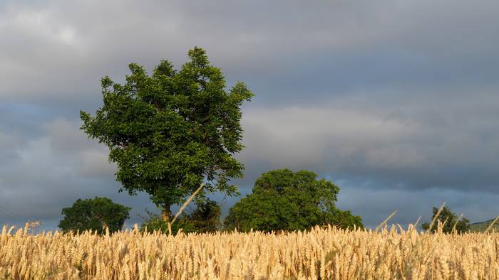 Hodeiak eta euri arina asteburuan