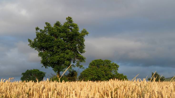 Hodeiak eta euri arina asteburuan