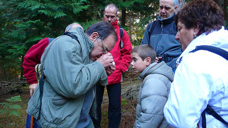 Hogei jarduera, Gasteizen naturan murgiltzeko