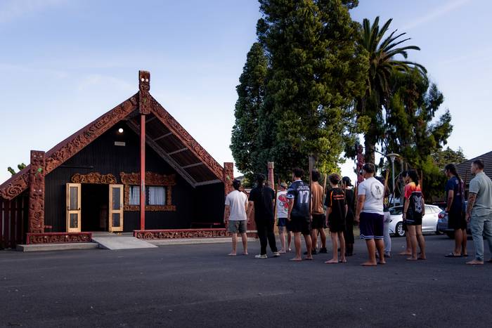 Maoritasuna berreskuratuz