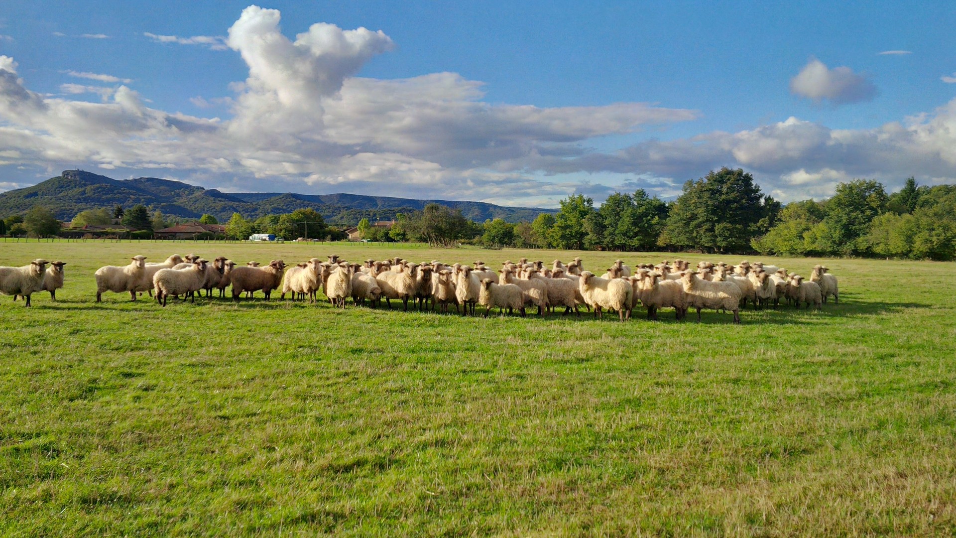 3 serotipoa Asparrenera era Arraia-Maeztura iritsi da