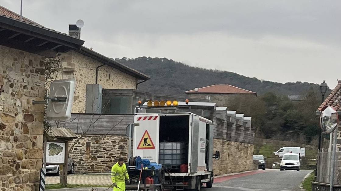 Ozetan zebrabide eske dabiltza bizilagunak