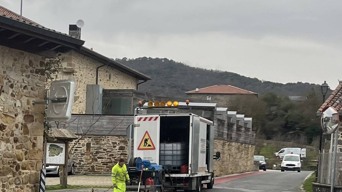 Ozetan zebrabide eske dabiltza bizilagunak