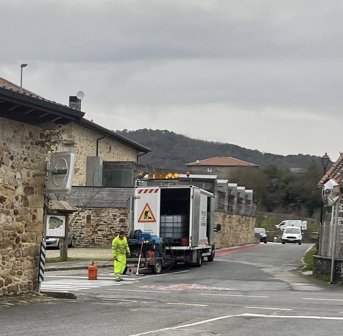 Ozetan zebrabide eske dabiltza bizilagunak