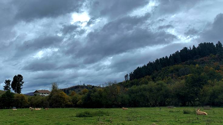 Hodei mordoa 'eTourriko' da