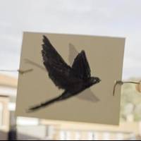 'Enarak' + 'Elkarrizketa'