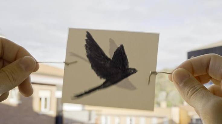 'Enarak' + 'Elkarrizketa'