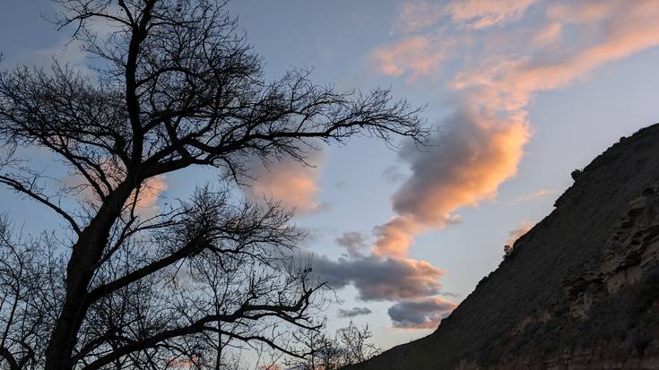 Han-hemenka, bustiko du