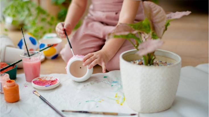 Etxe barruko botanika